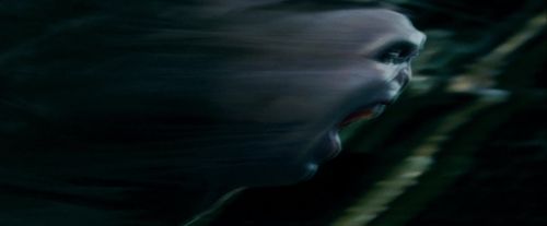 Click to view full size image
==============
Potterish-RdMTrailerParte1-1721.jpg Potterish-RdMTrailerParte1-1721.jpg
