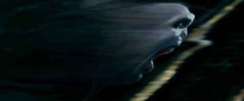 Potterish-RdMTrailerParte1-1724.jpg