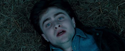 Potterish-RdMTrailerParte1-1726.jpg