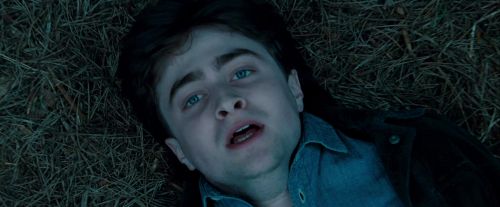 Potterish-RdMTrailerParte1-1727.jpg