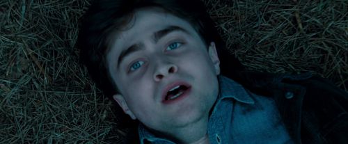Potterish-RdMTrailerParte1-1731.jpg