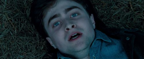 Potterish-RdMTrailerParte1-1735.jpg