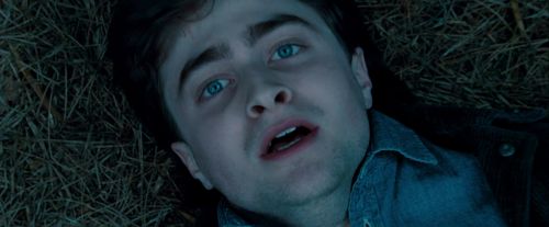 Potterish-RdMTrailerParte1-1738.jpg