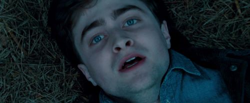 Potterish-RdMTrailerParte1-1739.jpg