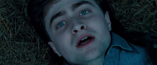 Potterish-RdMTrailerParte1-1743.jpg