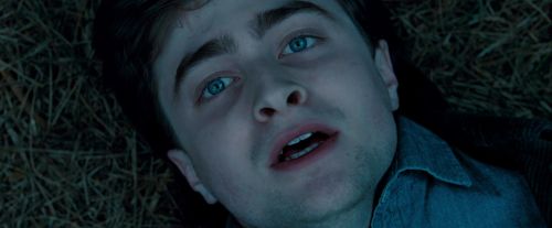 Potterish-RdMTrailerParte1-1745.jpg