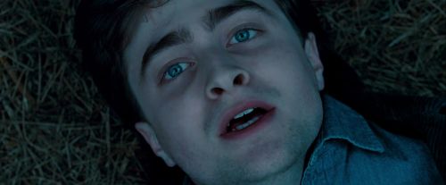 Potterish-RdMTrailerParte1-1746.jpg