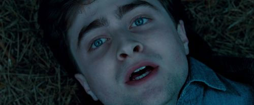 Click to view full size image
==============
Potterish-RdMTrailerParte1-1752.jpg Potterish-RdMTrailerParte1-1752.jpg