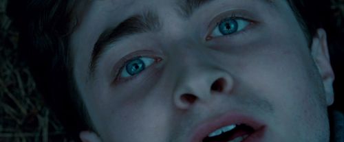Potterish-RdMTrailerParte1-1756.jpg