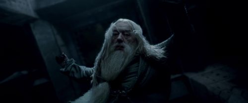 Potterish-RdMTrailerParte1-376.jpg