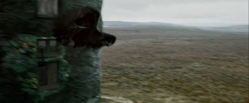 Potterish-RdMTrailerParte1-396.jpg