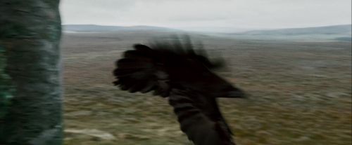 Potterish-RdMTrailerParte1-400.jpg