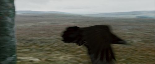 Potterish-RdMTrailerParte1-401.jpg