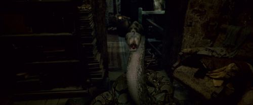 Potterish-RdMTrailerParte1-417.jpg