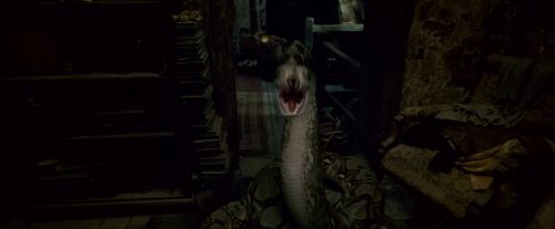 Potterish-RdMTrailerParte1-419.jpg