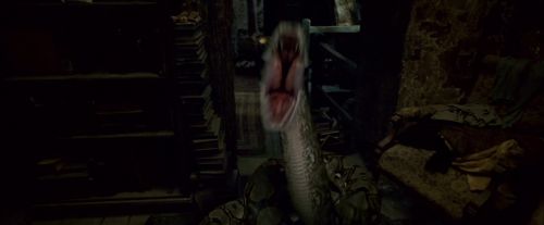 Potterish-RdMTrailerParte1-422.jpg