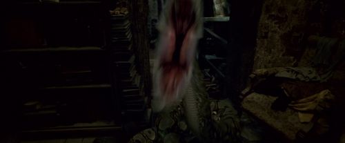 Potterish-RdMTrailerParte1-423.jpg