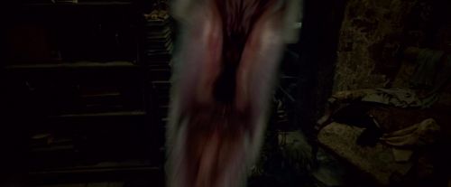 Potterish-RdMTrailerParte1-424.jpg