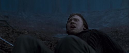 Potterish-RdMTrailerParte1-427~0.jpg