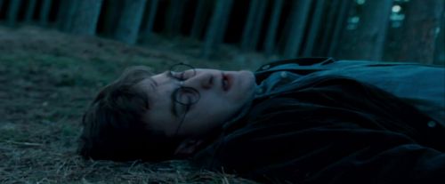 Potterish-RdMTrailerParte1-443.jpg