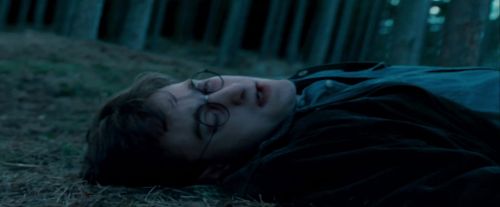 Potterish-RdMTrailerParte1-444.jpg