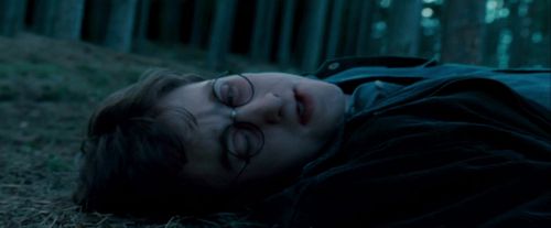 Potterish-RdMTrailerParte1-446.jpg