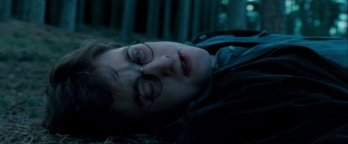 Potterish-RdMTrailerParte1-447.jpg