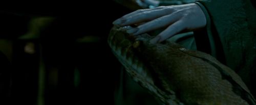 Potterish-RdMTrailerParte1-681.jpg
