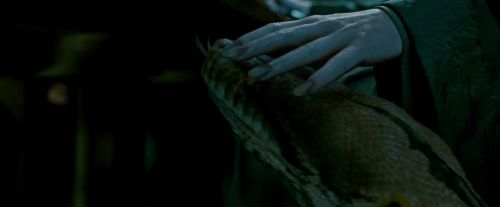 Potterish-RdMTrailerParte1-684.jpg