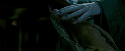 Potterish-RdMTrailerParte1-685.jpg