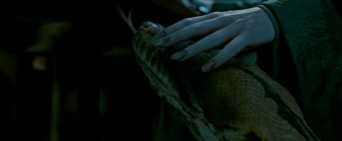 Potterish-RdMTrailerParte1-687.jpg
