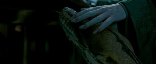 Potterish-RdMTrailerParte1-689.jpg
