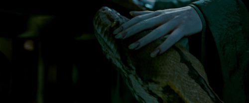 Potterish-RdMTrailerParte1-691.jpg