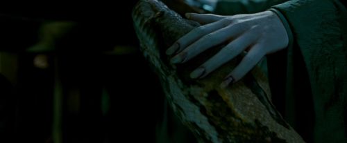 Potterish-RdMTrailerParte1-698.jpg