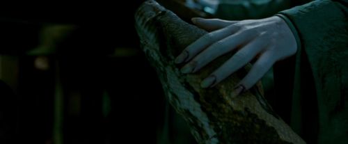 Potterish-RdMTrailerParte1-703.jpg