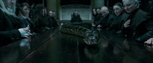 Potterish-RdMTrailerParte1-727.jpg