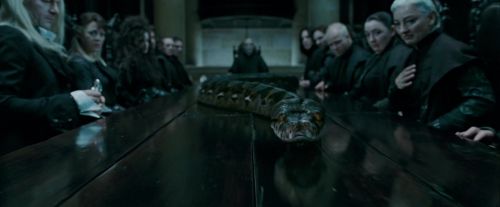 Potterish-RdMTrailerParte1-730.jpg
