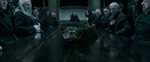 Potterish-RdMTrailerParte1-741.jpg