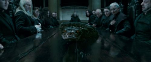Potterish-RdMTrailerParte1-742.jpg