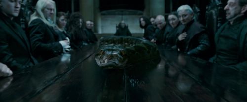 Potterish-RdMTrailerParte1-744.jpg