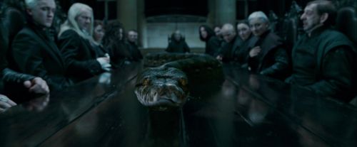 Potterish-RdMTrailerParte1-751.jpg
