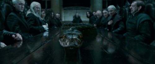 Potterish-RdMTrailerParte1-752.jpg