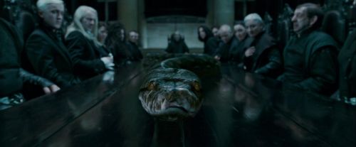 Potterish-RdMTrailerParte1-755.jpg
