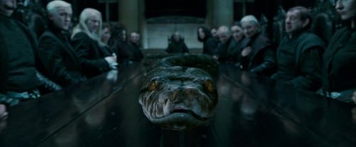 Potterish-RdMTrailerParte1-758.jpg
