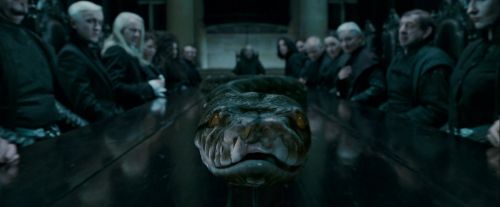 Potterish-RdMTrailerParte1-759.jpg