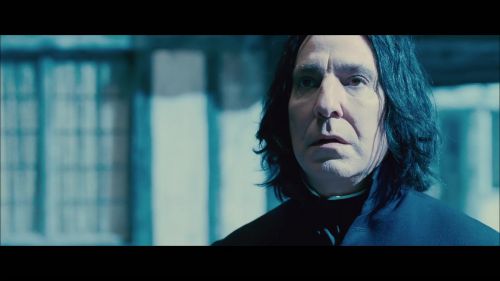 Click to view full size image
==============
PotterishHP72ABCFamily1-105~2.jpg PotterishHP72ABCFamily1-105~2.jpg