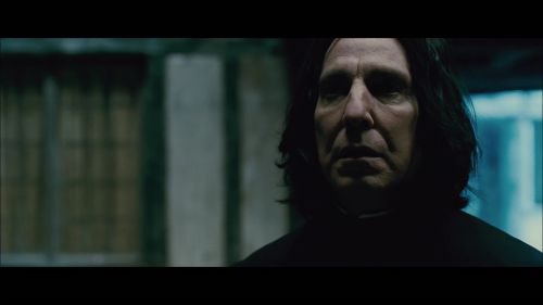 PotterishHP72ABCFamily1-106~2.jpg
