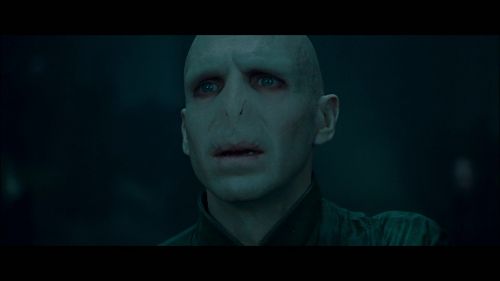 PotterishHP72ABCFamily1-10~2.jpg