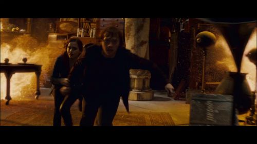 PotterishHP72ABCFamily1-116~2.jpg