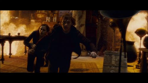 PotterishHP72ABCFamily1-117~2.jpg